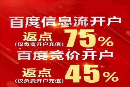 案例解析：网络推广竞价策略